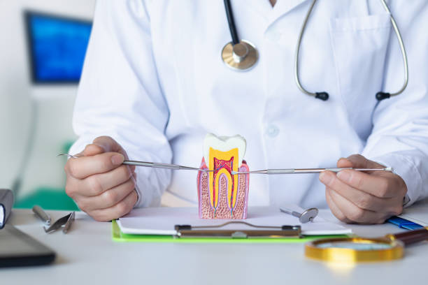 Best Emergency Treatment for Dental Infections or Abscesses in Sidney, IL